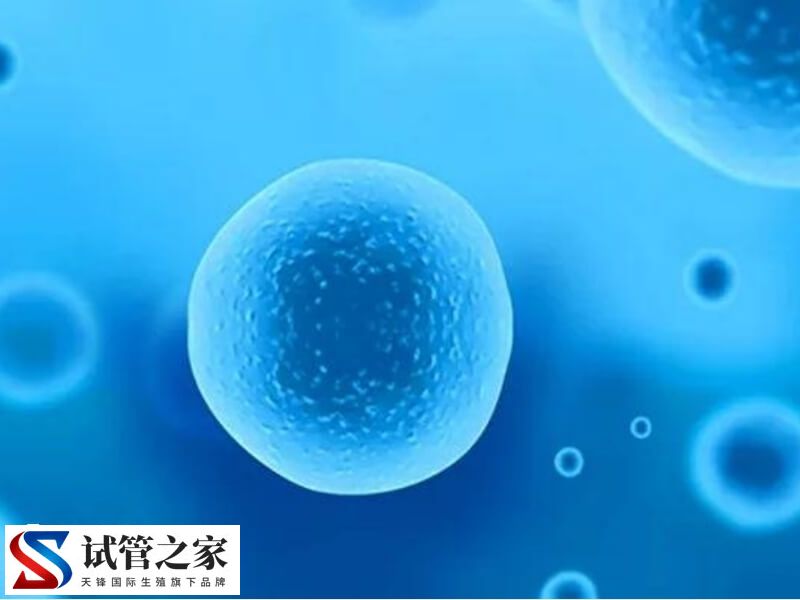 卵子质量不好影不影响胎儿健康(图2)