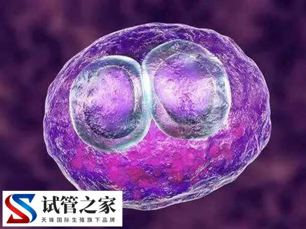 高龄做试管婴儿前要注意什么(图2)