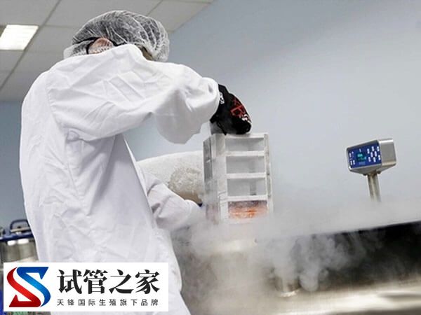 美国费尔法克斯精子库(Fairfax)怎么买精子？