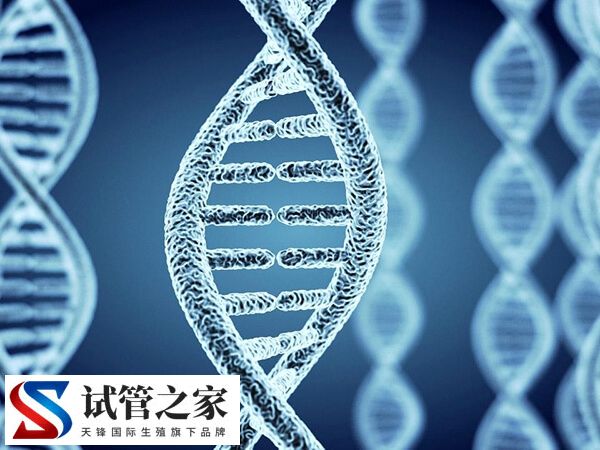 三代试管可不可以筛查红斑狼疮(图2) 三代试管可不可以筛查红斑狼疮(图2)