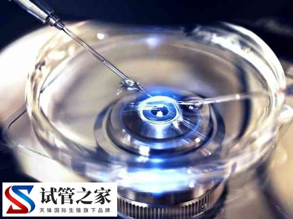 3代试管可不可以筛查出嵌合体胚胎(图2)