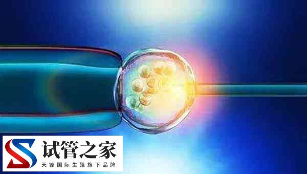 3代试管可不可以筛查出嵌合体胚胎