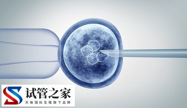 试管婴儿技术要选择哪一种