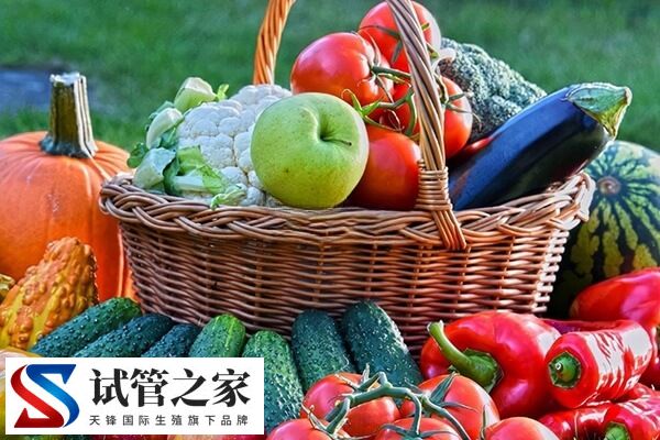 试管移植后第一天吃点什么好