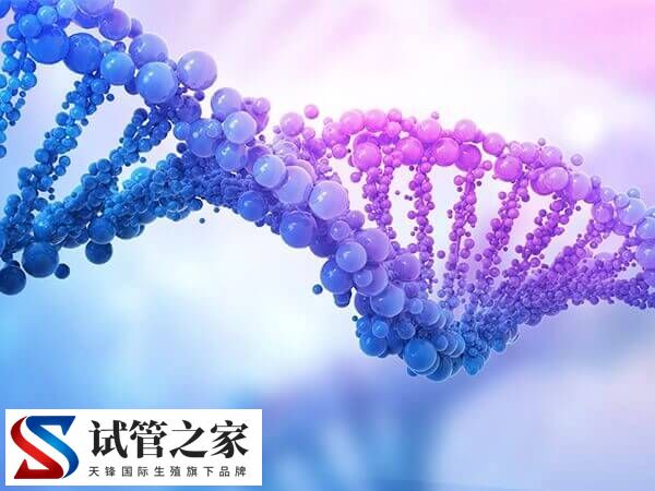 0pn囊胚正常发生畸形的原因是什么(图1)