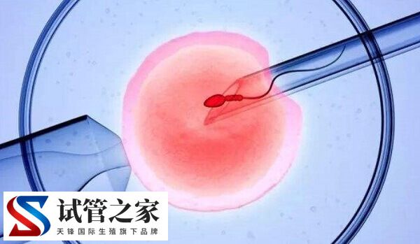 卵泡发育不良能不能做试管婴儿(图1)