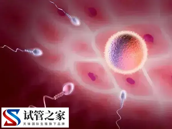 移植后腹部有刺痛感什么原因(图1)