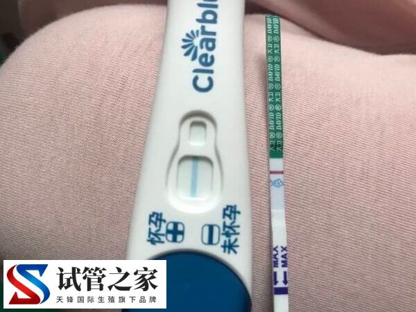 移植两枚鲜胚第六天测出白板正不正常