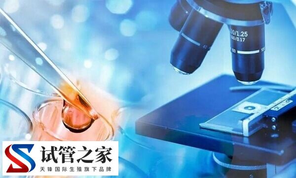 卵巢早衰适合什么促排方案