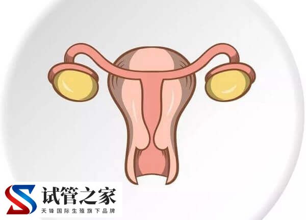 女性月经量少怎么回事