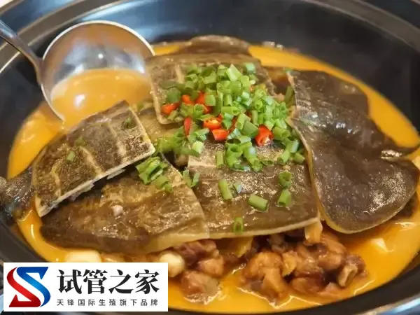 试管婴儿期间能不能喝甲鱼汤