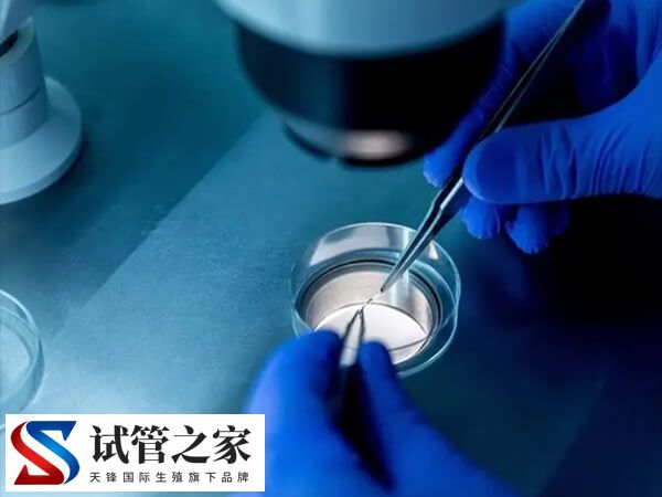 这四类女性做试管婴儿成功率很高,看看你是其中之一吗？