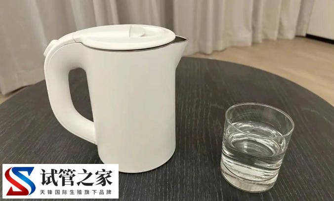 微塑料致癌又添新证据！从进入身体到助长肿瘤，仅4步(图4)
