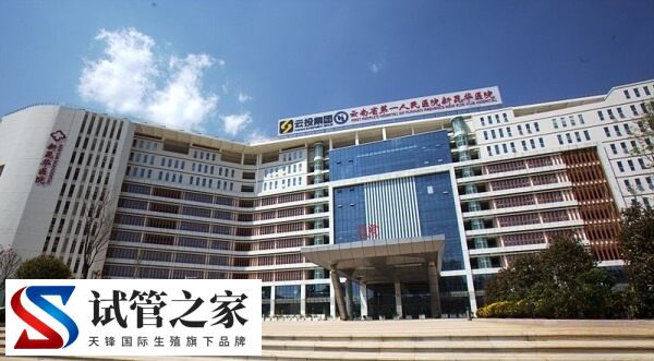 云南省第一人民医院试管婴儿成功率多少