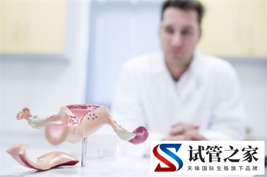 试管胚胎移植对内膜有什么要求?做试管婴儿如何调理子宫内膜(图1) 试管胚胎移植对内膜有什么要求?做试管婴儿如何调理子宫内膜(图1)