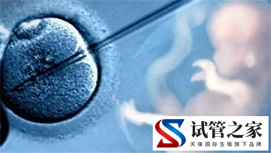 试管胚胎移植对内膜有什么要求?做试管婴儿如何调理子宫内膜(图2) 试管胚胎移植对内膜有什么要求?做试管婴儿如何调理子宫内膜(图2)