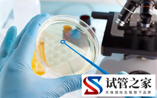 有助于提高试管降调成功率的方法整理！试管怎样才算降调成功(图2)