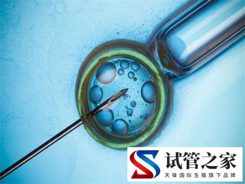 试管降调针短效和长效一样吗？附长效和短效降调针的几点区别(图2)