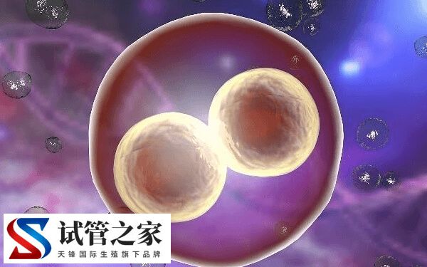三代试管婴儿可以筛查哪些疾病