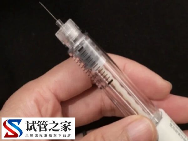 促排药跟促排针的区别有哪些