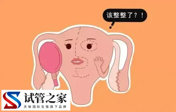 始基子宫怎么治疗(图2) 始基子宫怎么治疗(图2)