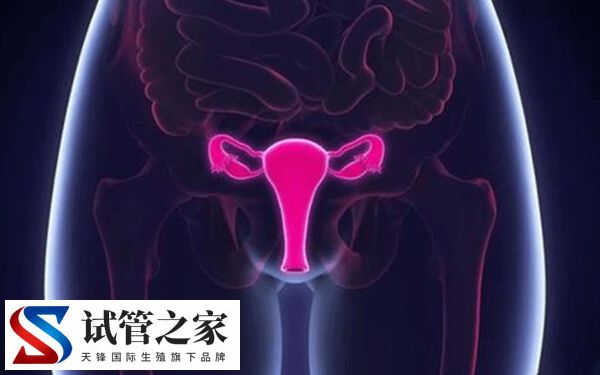 始基子宫怎么治疗(图3) 始基子宫怎么治疗(图3)