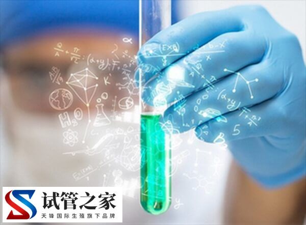 试管哪些检查一年后要重新查(图2)